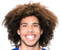 鲁芬