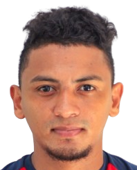 A.维加